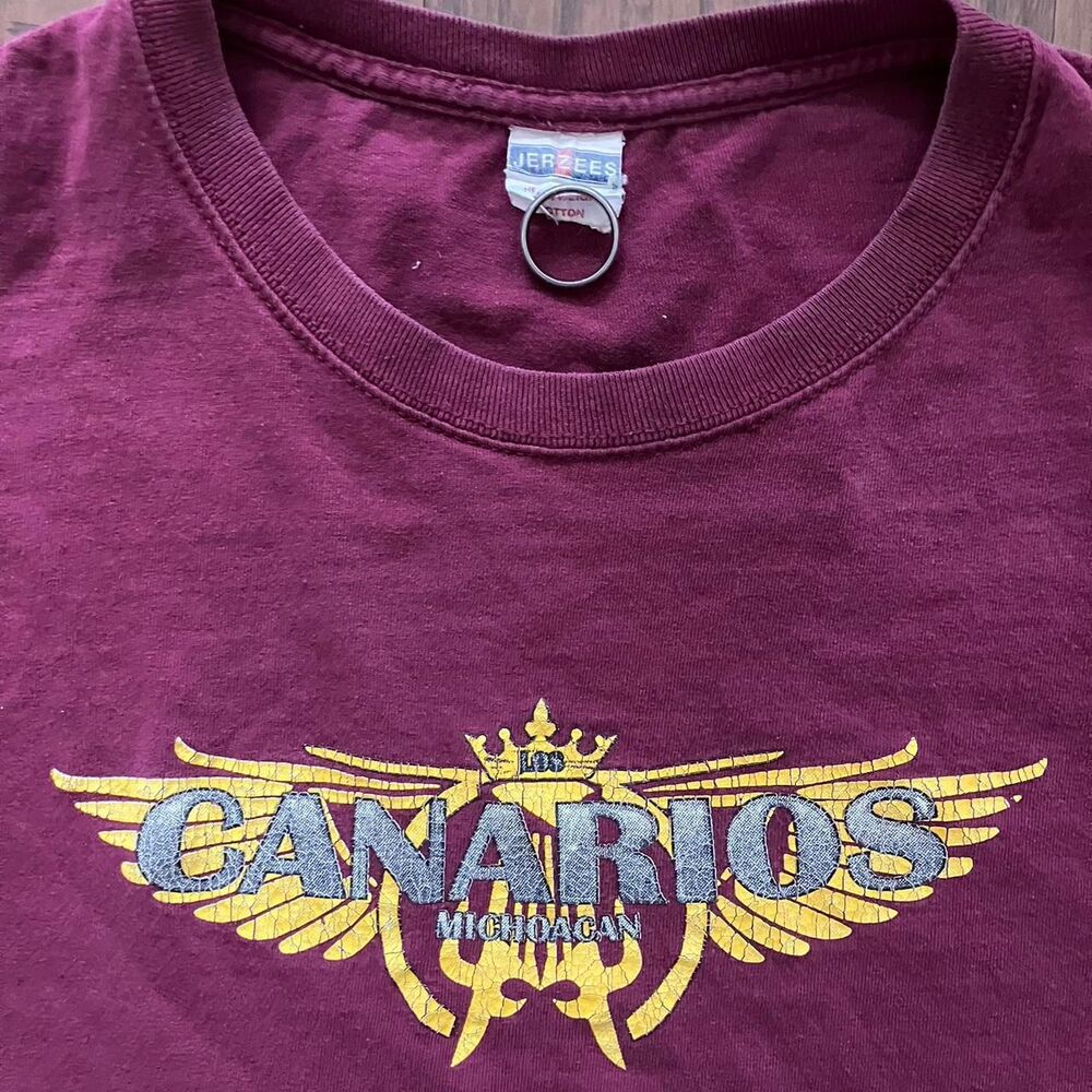 Jerzees Men's Burgundy and Red T-shirt